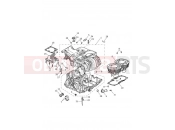 Triumph 2017 STREET CUP Crankcase & Fittings