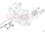 DUCATI Panigale V2 SHIFT CAM - FORK