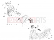 Reduction unit - Piaggio Liberty 150 E5 2022