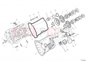 FRONT HEAD - TIMING SYSTEM [MOD:SFV4] - Ducati STREETFIGHTER V4 2022