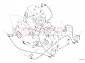 DUCATI 2022 Scrambler 1100 Dark Pro WIRING HARNESS (COIL)