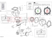 DUCATI 2023 XDiavel S CYLINDERS - PISTONS (ASSO WERKE)