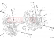 DUCATI 2017 Hypermotard 939 SP HALF-CRANKCASES PAIR [MOD:HYM939SP]