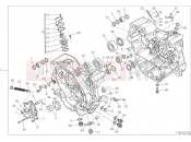 DUCATI Multistrada 950 HALF-CRANKCASES PAIR [MOD:MS950T]