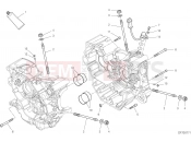 DUCATI 2021 Monster 821 Stealth HALF-CRANKCASES PAIR [MOD:M821STEA]