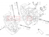 DUCATI 2021 Monster 1200 S HALF-CRANKCASES PAIR [MOD:M 1200S]