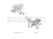 INDIAN CHIEFTAIN PREMIUM (R06) (N20TCABB) ENGINE | ENGINE, CRANKCASE BEARINGS - N20TCABB ALL OPTIONS (200626)