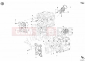 DUCATI 2002 Superbike 998 S Bayliss INTAKE MANIFOLD » INTAKE, CARBURETTOR