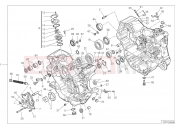 DUCATI Monster + HALF-CRANKCASES PAIR [MOD:M937+]