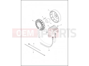 Harley-Davidson 2015 TOURING STREET GLIDE  - FLHX ALTERNATOR & REGULATOR