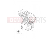 Harley-Davidson 2015 TRIKE FREEWHEELER  - FLRT ENGINE ASSEMBLY - TWIN CAM 103â¢
