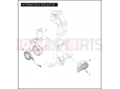 Harley-Davidson 2010 DYNA DYNA SUPER GLIDE  - FXD ALTERNATOR & REGULATOR