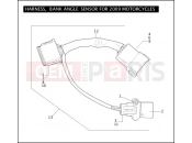 HARNESS, BANK ANGLE SENSOR FOR 2009 MOTORCYCLES - Harley-Davidson ROAD KING CLASSIC - FLHRC 2009