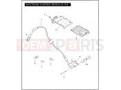 ELECTRONIC CONTROL MODULE & COIL - Harley-Davidson CVO ROAD KING - FLHRSE4 2008