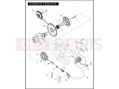 Harley-Davidson 2007 VRSC VRSCX SCREAMIN' EAGLE V-ROD  - VRSCX ALTERNATOR & REGULATOR