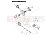 Harley-Davidson 2006 VRSC VRSCD NIGHT ROD  - VRSCD ALTERNATOR & REGULATOR