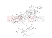 TRANSMISSION BEARINGS & SIDE COVERS - Harley-Davidson DYNA SUPER GLIDE SPORT - FXDX 2003