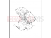 ENGINE - Harley-Davidson DYNA LOW RIDER - FXDL 1999