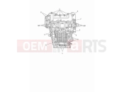 Crankcase bolts - Triumph Tiger 1200 GT Pro 2023