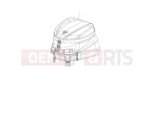 Triumph 2022 Street Triple R Tail Pack, QR