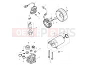 Triumph 2016 SCRAMBLER EFI Starter & Alternator