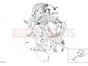 DUCATI Streetfighter V4 S Engine electric system