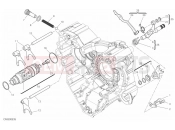 DUCATI 2019 Diavel 1260 S SHIFT CAM & FORK