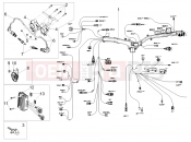 MOTOGUZZI V85 TT Travel Pack (EU) Front electrical system