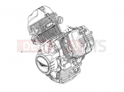 MOTOGUZZI V7 Stone Corsa 850 (EU) Engine-Completing part-Lever