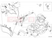 Cooling circuit - Ducati Hypermotard 950 SP 2024