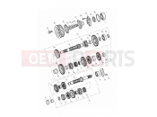 TRIUMPH THUNDERBIRD Transmission