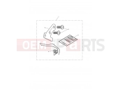 TRIUMPH THUNDERBIRD Restrictor Kit, 25KW, Tamper Evident