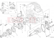 DUCATI 2024 Scrambler Nightshift Horizontal cylinder head timing
