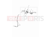 Triumph 2024 Speed Twin 900 Clutch controls