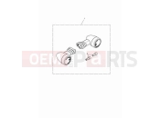 Triumph 2024 Speed Twin 900 LED indicators, D40