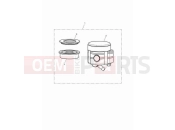 Triumph 2024 Speed Twin 900 Front reservoir kit