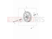 Triumph 2024 Speed Twin 900 Front wheel