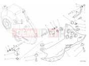 DUCATI 2018 Scrambler Desert Sled GUARD, ENGINE