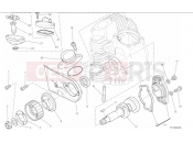 DUCATI Scrambler Cafe Racer HORIZONTAL HEAD - DISTRIBUTION