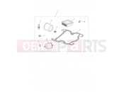 TRIUMPH Scrambler 900 Engine Service Kit