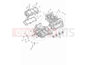 Triumph 2023 Speed Triple 1200 RR Crankcase & fittings