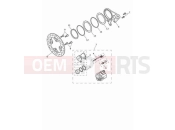 Triumph 2023 Speed Triple 1200 RR Rear brake caliper & discs