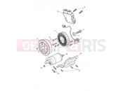 TRIUMPH Tiger 1200 GT Explorer Starter & Alternator