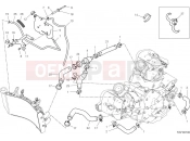Cooling circuit - Ducati Hypermotard 950 2025