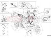 Vehicle electric systems - Ducati Hypermotard 950 SP 2025