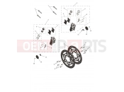 TRIUMPH Daytona 660 Front Brake Caliper & Discs
