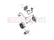 TRIUMPH Daytona 660 Alternator & Starter Motor