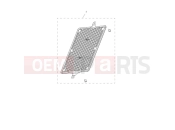 Triumph 2024 Speed Twin 1200 Radiator Guard Kit