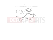 Triumph 2024 Speed Twin 1200 Engine Service Kit