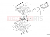 DUCATI 2025 Multistrada V4 Pikes Peak Crankcase bearings